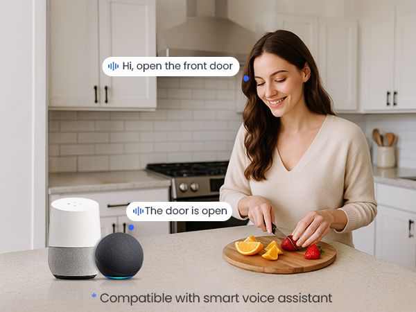 keyless entry door lock