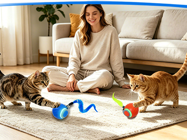interactive automatic cat toy ball