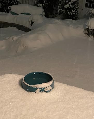 Heating bowl