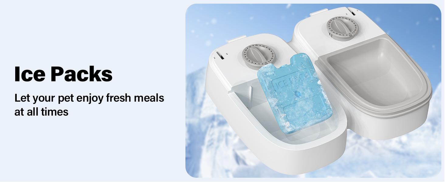 automatic cat feeder