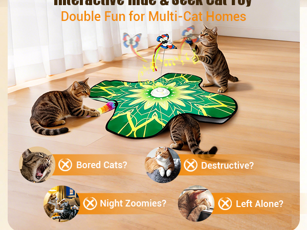 automatic cat toy