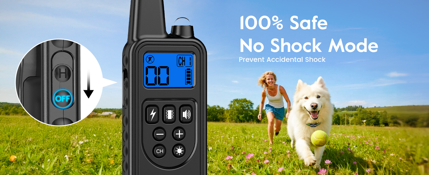 dog training collar with remote