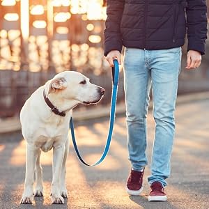 dog leashes
