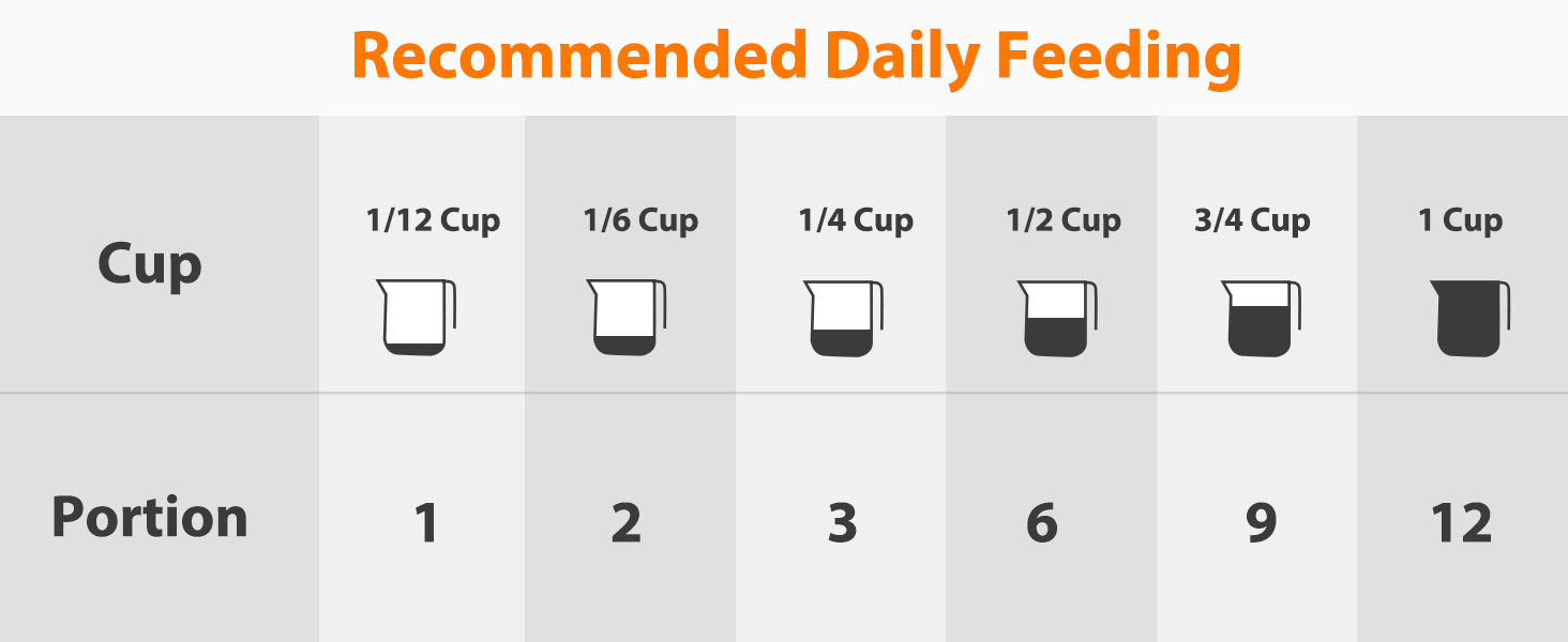 cat automatic feeders