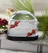 Neil Enterprises Inc. Gift Card Snow Globe