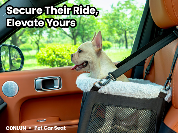 dog beds for cars car seat for cats carseat for dogs small dog booster car seat cat car seats