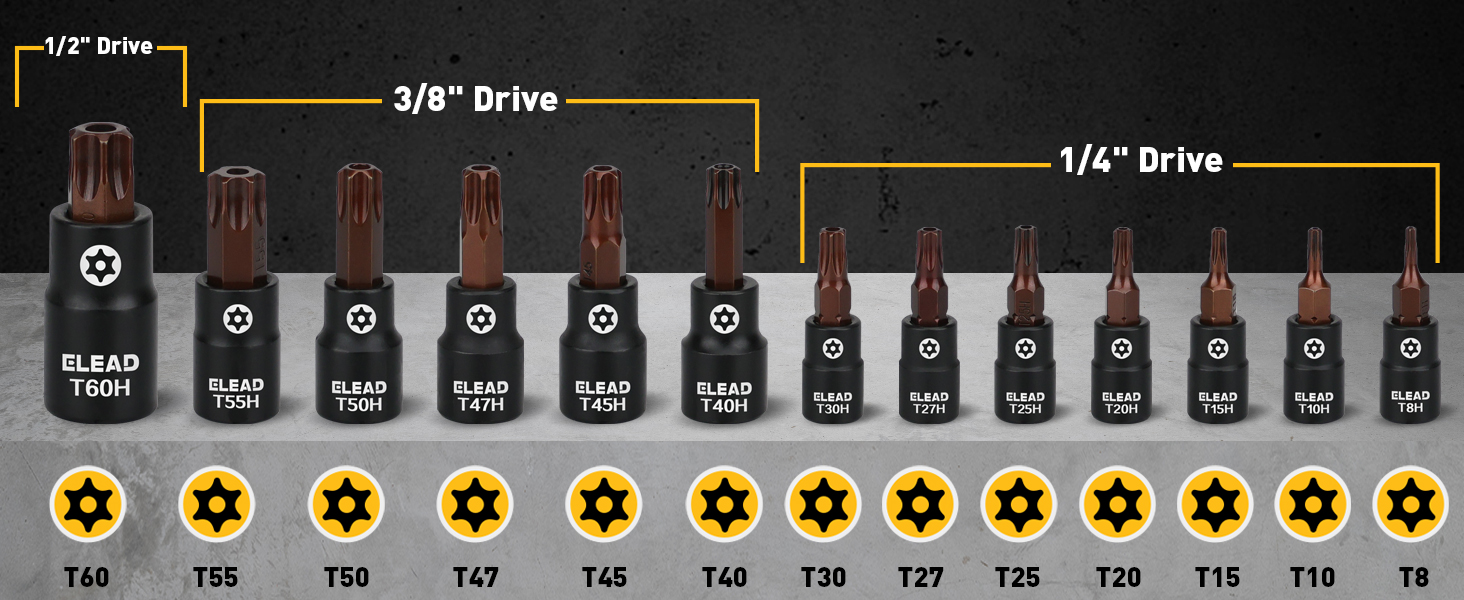Torx Bit Socket Set