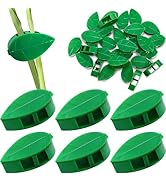 30PCS Plant Climbing Wall Fixture Clips with Easy Clean Adhesive Sticker,Anti-Twine Design Plant ...