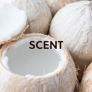 Coco Colada scent