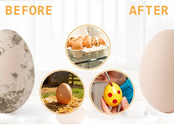 egg scrubber