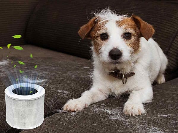 LQ-Mini-AA-1200900-A02