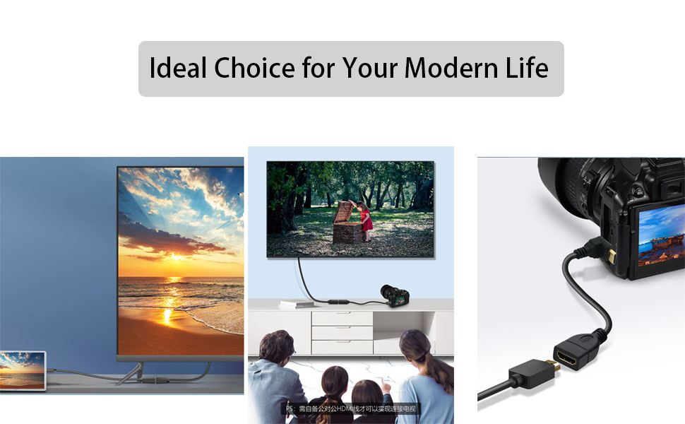 mini hdmi male to hdmi female
