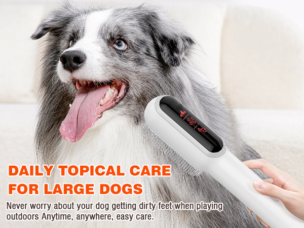Portable Pet Grooming Hair Dryer