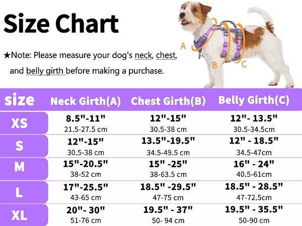 dog harness with handle