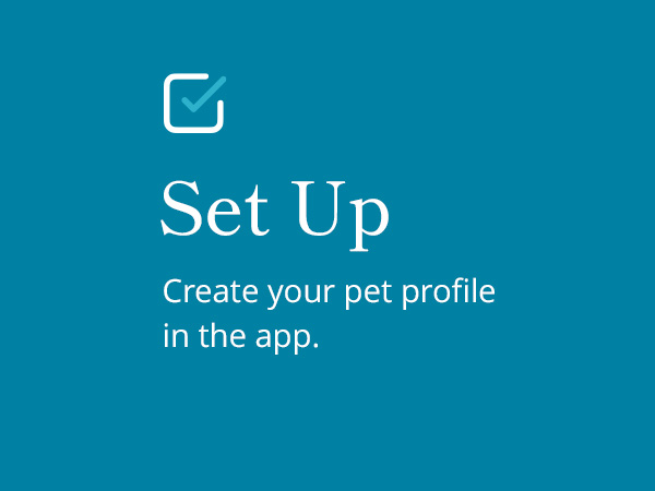 petivity tracker phone with dog in background &amp; set up