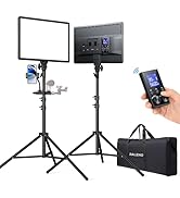 RALENO LED Video Panel Light, 2-Pack 18" 45W Studio Lights with 75''Stand &amp; Remote for Video Reco...