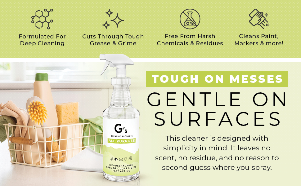 Gs Cleaning All Purpose Cleaner