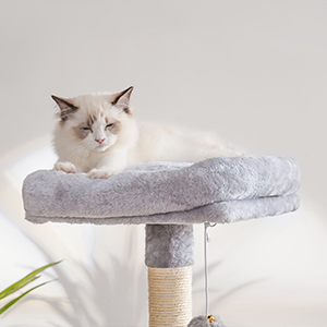 cat tree