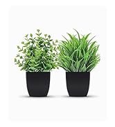 fake plant