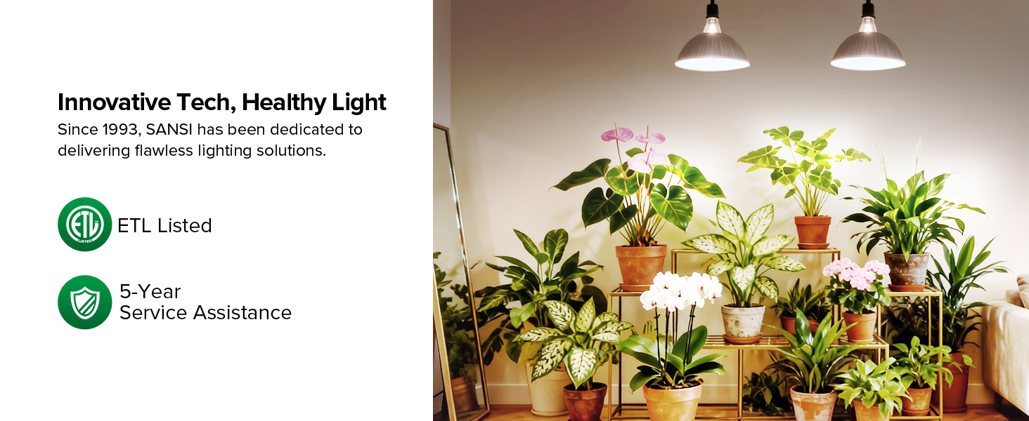 grow light bulb