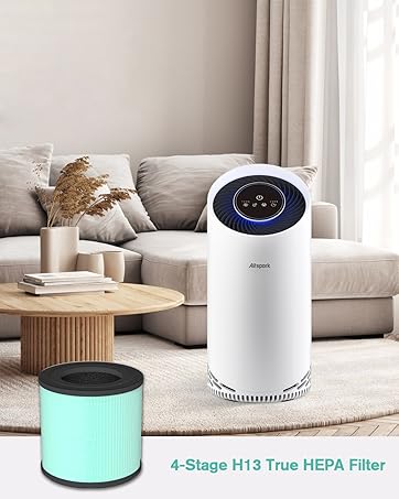 Airspark ASF200 4-IN-1 H13 True HEPA Filter