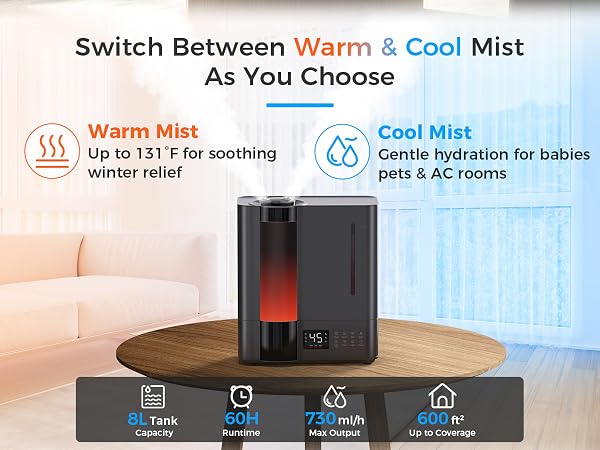 Warm &amp;amp; Cool Mist Humidifier