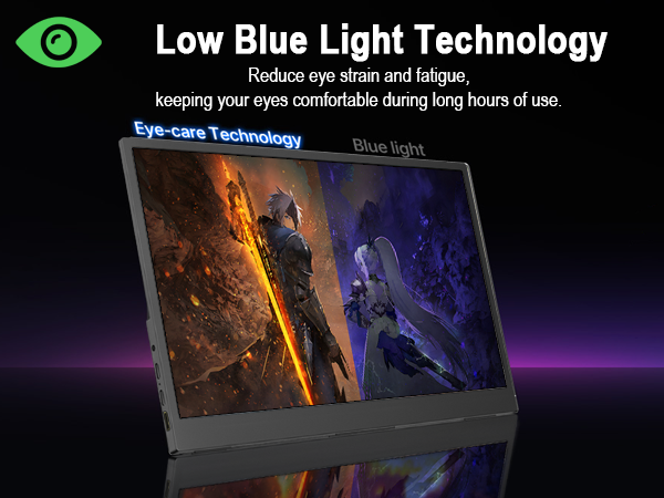 10 inch portable monitor