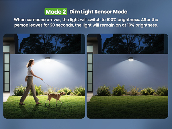 solar motion lights