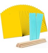 Landisun Fruit-Fly Sticky-Trap Outdoor Indoor Yellow Sticky Insect Traps Bug-Killer Catcher NonTo...