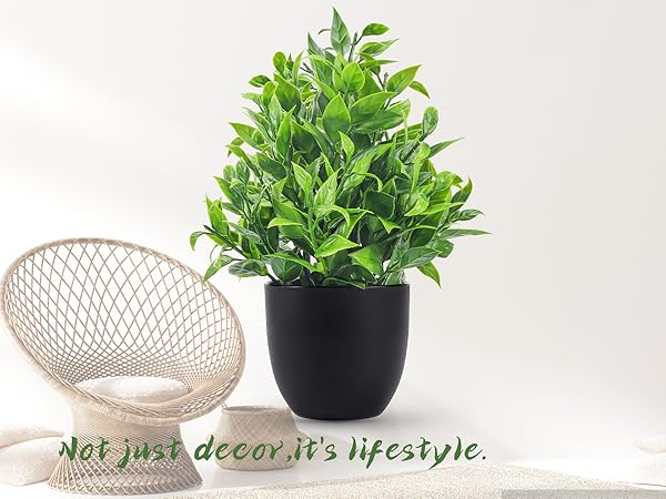 fake plant