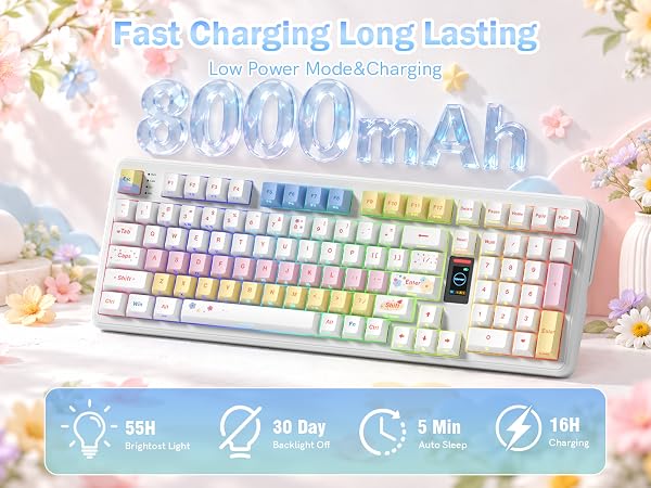 8000MAH BATTERY