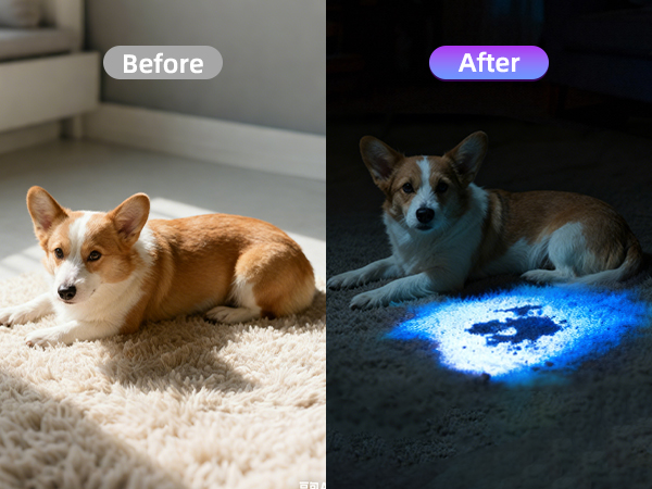 black light for pet urine detection