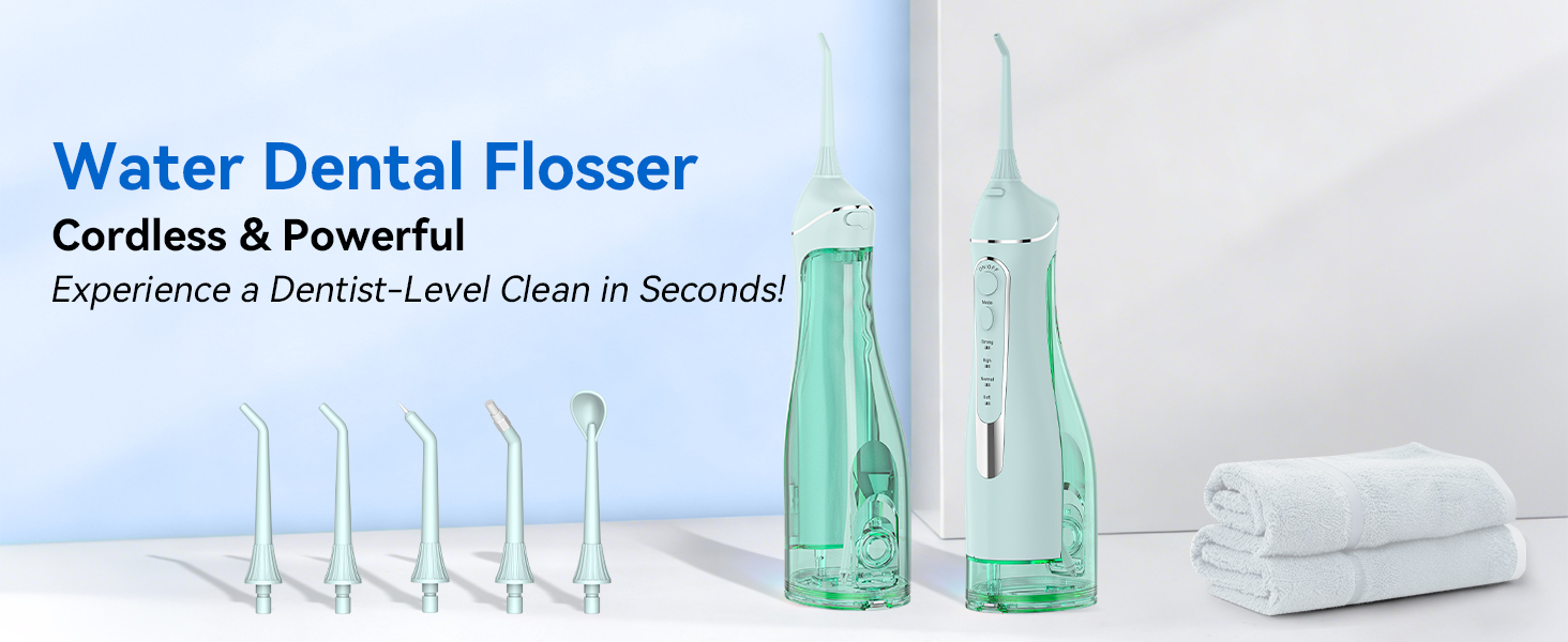 cordless dental flosser