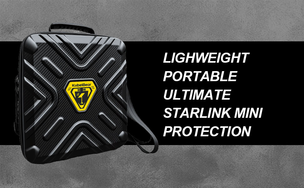 Starlink Mini Case