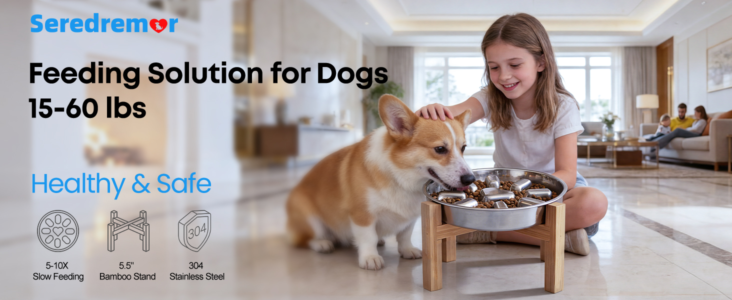 stainless steel slow feed dog bowls