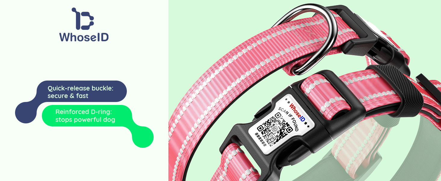 Dog collar