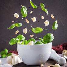 mini prep food processor 2 cup