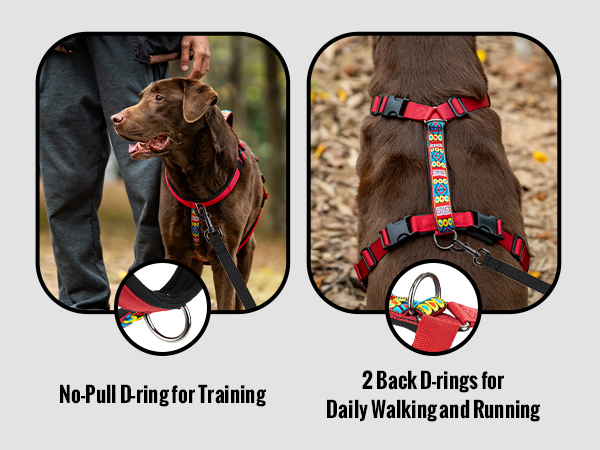 Text reads 'No-Pull D-ring for Training' and '2-Back D-rings for Daily Walking and Running'. Two product images show dog harness in red plaid pattern applied to brown dog.