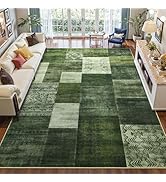 DweIke Washable 6x9 Living Room Rug, Modern Large Soft Rugs for Bedroom, Stain Resistant and Non-...