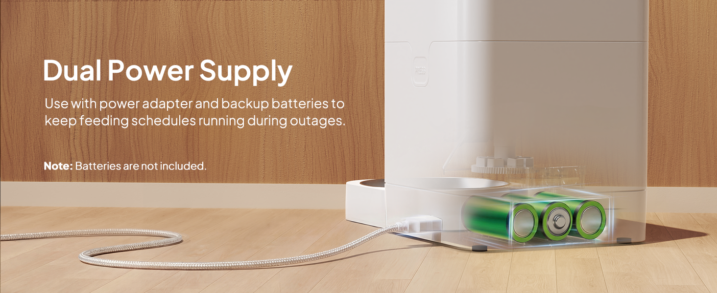 Automatic Cat Feeders