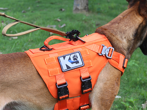 dog harness metal buckles