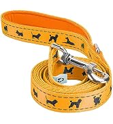 EcoBark Dog Leash - 4 FT / 5 FT / 6 FT Reflective Dog Leash- Eco-Bright Dog Leashes with Padded H...