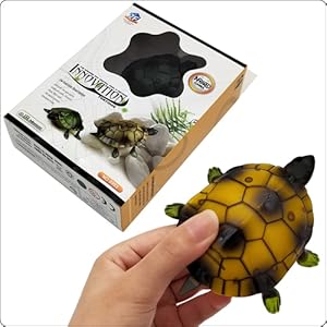 rc turtle remote control tortoise gift package mini size kids birthday christmas