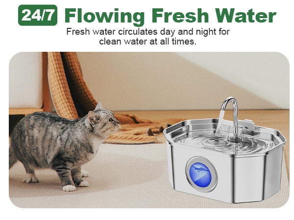 pet water fountain