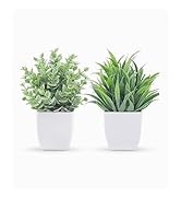 FAKE PLANT