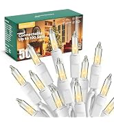 Minetom LED Clear Christmas String Lights, 50 Count 16 Feet LED Christmas Lights Bulb, Christmas ...