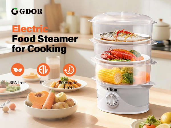 Electric Food Steamer for Cooking