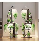 BACEKOLL Plant Stand Indoor with Grow Lights, 6 Tiered Tall Plant Shelf, 63