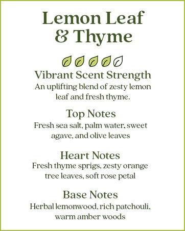 thyme moss leaf lemon rainwater bamboo apple honeycrisp stand refill pineapple minerals ingredients