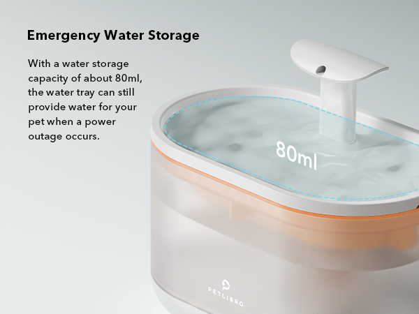 cat fountains for drinking